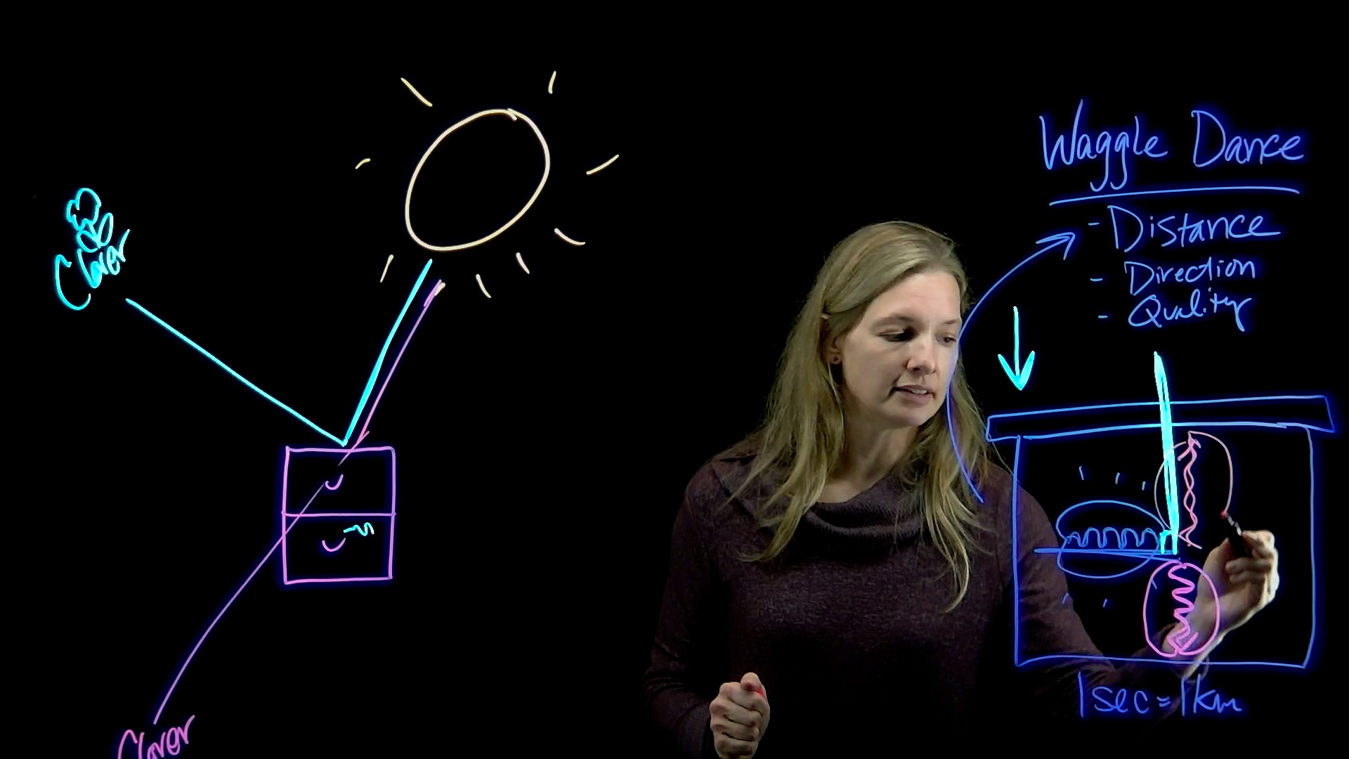 Lightboard Now Available at the Faculty Media Center​ – Academic